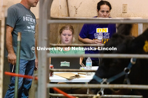 Kristen Herrick, 4-H Extension Assistant, enters data during livestock entry at the Otoe County Fair