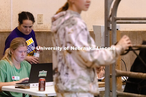 Kristen Herrick, 4-H Extension Assistant, enters data during livestock entry at the Otoe County Fair