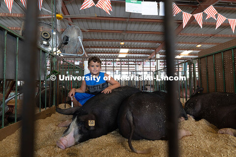 Liam Wander, 10, from Syracuse, poses with his pigs at the Otoe County Fair. Otoe County Fair in Syr
