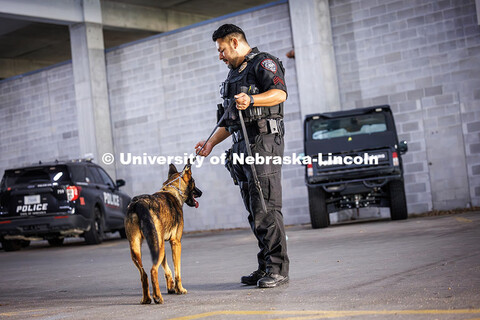 Dodger, the newest bomb-sniffing dog for UNLPD, and Officer Anderson Delgado practice finding a hidd