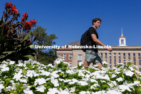 A student walks past Love Library during a sunny afternoon on City Campus. September 15, 2025. 