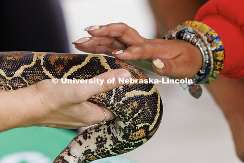 Students pet Snickers, a red-tailed boa, during the Wildlife Encounters Petting Zoo outside of the N