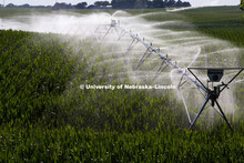 Irrigation Center Pivot in Gage County, July 11, 2012.  