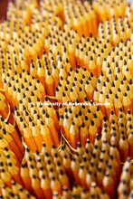 Pencils await new students at orientation. August 11, 2107. 