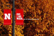 Lincoln trees display their fall colors on UNL's City Campus. November 15, 2017. 