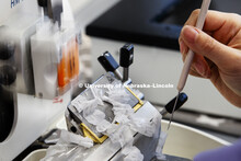 Hue Tran, Research Technologist at the Veterinary Diagnostic Center, uses a machine to prepare thin 