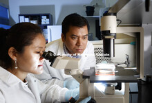 Hiep Vu and Haiyan Sun research on vaccine against porcine reproductive and respiratory virus. March