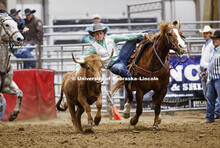 Logan Dibbern leaves his horse to wrestle the steer. 60th anniversary of the University of Nebraska-