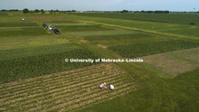 James Alfano Plant Science Innovation lab working on soil and root sampling in fields at ENREC. June