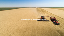 Aerials of Wheat Harvest in Perkins County Nebraska. July 10, 2018. 