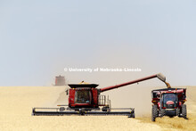 Wheat Harvest in Perkins County Nebraska. July 10, 2018. 