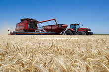 Wheat Harvest in Perkins County Nebraska. July 10, 2018. 