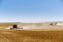 Wheat Harvest in Perkins County Nebraska. July 10, 2018. 