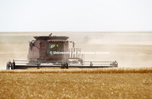 Wheat Harvest in Perkins County Nebraska. July 10, 2018. 