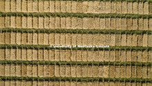 Pearl C. Pogue Peterson Stumpf Education Center. Grant, Nebraska. Aerials of Wheat Harvest in Perkin