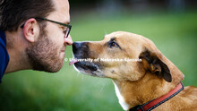 Jeffrey Stevens, Associate Professor of Psychology, has started the Canine Cognition and Human Inter
