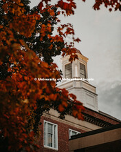 Love library cupola surrounded by fall leaves, Fall on City Campus. October 18, 2018. 