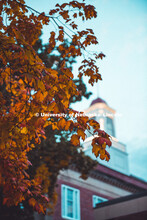 Love library cupola surrounded by fall leaves, Fall on City Campus. October 18, 2018. 