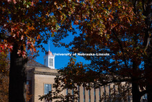 Fall on City Campus. October 29, 2018. 
