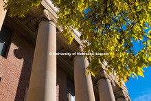 Fall on City Campus. October 29, 2018. 