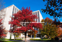Fall on City Campus. October 29, 2018. 