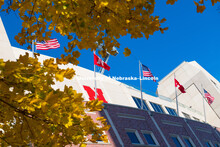 Fall on City Campus. October 29, 2018. 