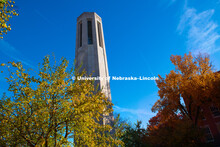 Fall on City Campus. October 29, 2018. 