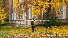 Fall on City Campus, November 5, 2018. 