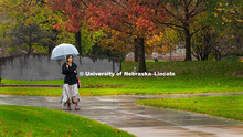 Fall on City Campus, November 5, 2018. 