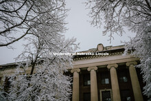 Snow covered trees frame the front of Pound Hall on City Campus. January 12, 2019. 