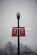 Snowy background behind the light post with red N Banners featuring the new N150 anniversary logo on