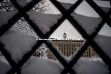 Love Library cupola framed in the snow covered lattice work of the fence. January 12, 2019. 