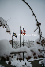 Flags fly high above the snow covered campus near the Canfield Administration Building. January 12, 