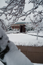 Snowy scene in front of the Greenpoint sculpture and the Adele Learning Commons. January 12, 2019. 