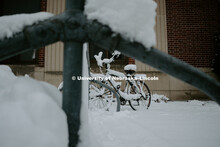 Snow covered bike in bike rack on City Campus. January 12, 2019. 