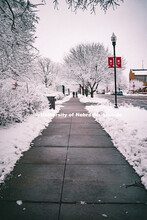 The sidewalks are clear next to R Street from the snow that covered City Campus. A new N150 N banner