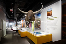 Cherish Nebraska opens to the public on Saturday, February 16 in the University of Nebraska State Mu