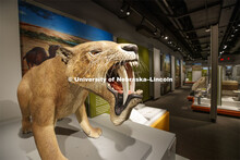 Cherish Nebraska opens to the public on Saturday, February 16 in the University of Nebraska State Mu