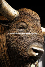 Cherish Nebraska opens to the public on Saturday, February 16 in the University of Nebraska State Mu