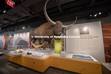 Cherish Nebraska opens to the public on Saturday, February 16 in the University of Nebraska State Mu