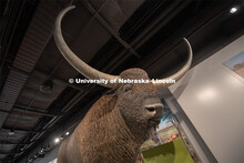 Cherish Nebraska opens to the public on Saturday, February 16 in the University of Nebraska State Mu