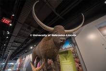 Cherish Nebraska opens to the public on Saturday, February 16 in the University of Nebraska State Mu