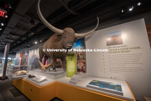 Cherish Nebraska opens to the public on Saturday, February 16 in the University of Nebraska State Mu