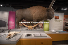 Cherish Nebraska opens to the public on Saturday, February 16 in the University of Nebraska State Mu