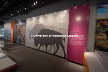 Cherish Nebraska opens to the public on Saturday, February 16 in the University of Nebraska State Mu