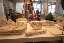 Cherish Nebraska opens to the public on Saturday, February 16 in the University of Nebraska State Mu