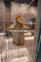 Cherish Nebraska opens to the public on Saturday, February 16 in the University of Nebraska State Mu