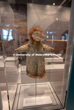Cherish Nebraska opens to the public on Saturday, February 16 in the University of Nebraska State Mu