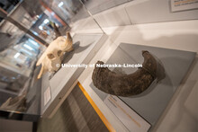 Cherish Nebraska opens to the public on Saturday, February 16 in the University of Nebraska State Mu