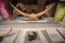 Cherish Nebraska opens to the public on Saturday, February 16 in the University of Nebraska State Mu